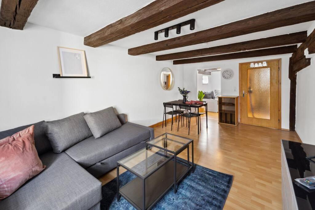 Zentrales, Rustikales Apartment 라우프 안 데어 페그니츠 외부 사진