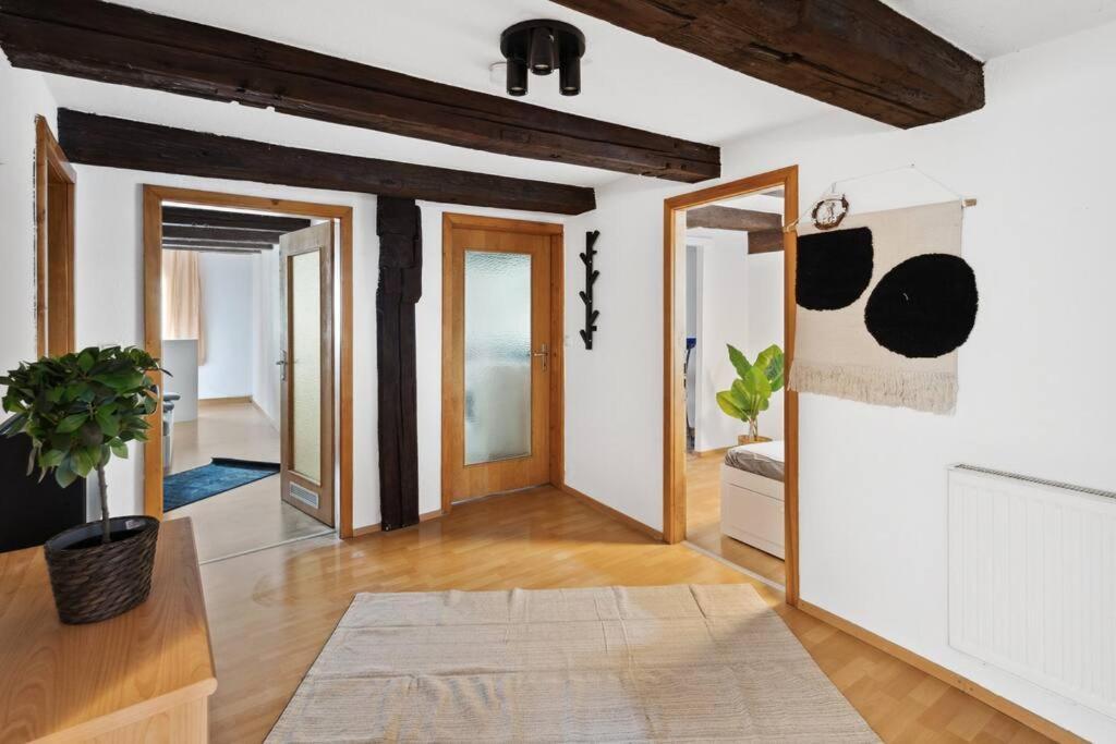 Zentrales, Rustikales Apartment 라우프 안 데어 페그니츠 외부 사진
