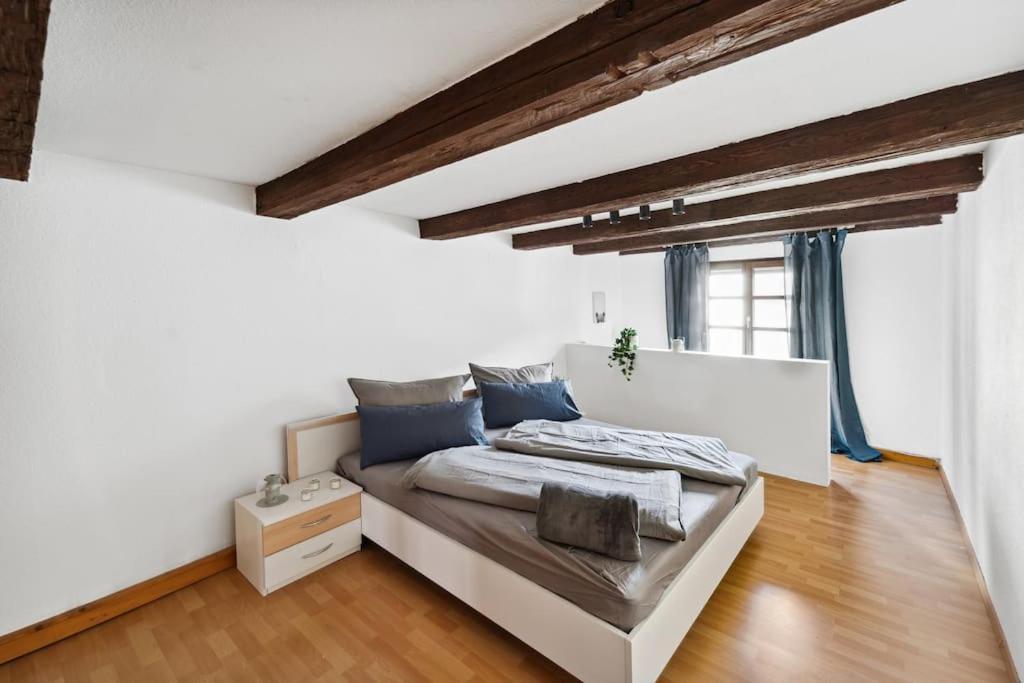 Zentrales, Rustikales Apartment 라우프 안 데어 페그니츠 외부 사진